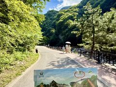 -少华山国家森林公园