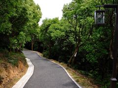 -平湖九龙山庄园圣马可酒店