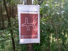 -铁山坪森林公园