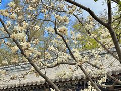 -潭柘寺景区