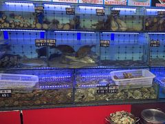 -日照大牌檔•小船海鲜(万平口店)