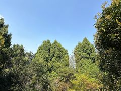 -大罗山风景区