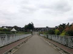 -紫颐香薰山谷景区