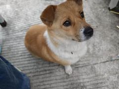 -泰顺江南春面馆