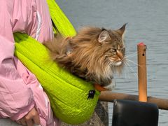 -东钱湖小普陀景区