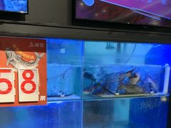 -鱼酷活鱼烤鱼(南京水游城店)