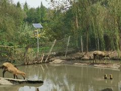 -溱湖国家湿地公园