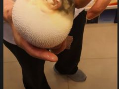 -长顺河豚馆(江洲东路)