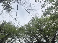 -西溪南古村落