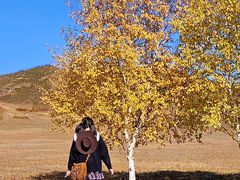 -塞罕坝国家级自然保护区