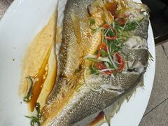 -肥弟大排档(汕樟路店)