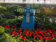 -南宫五洲植物乐园