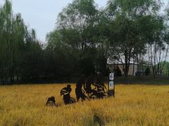 -北坞公园