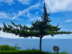 -养马岛旅游度假区