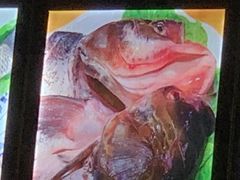 胖头鱼-东北老铁锅炖鱼
