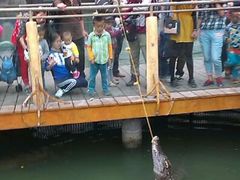 android_upload_pic-石家庄市动物园