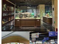 -帕帕拉兹宠物(亚洲旗舰店)