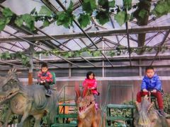 -北京植物园-展览温室