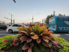 -羿庭 Peacock Alley(上海外滩华尔道夫酒店)
