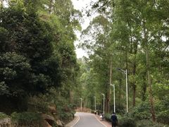 -火炉山森林公园