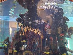 -长隆横琴湾酒店(珠海旗舰店)