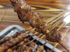 -民族烤羊·烤羊肉串·烤羊排(南城店)