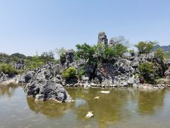 -千岛湖石林