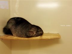 -龙猫仔乐园(惠福东路店)