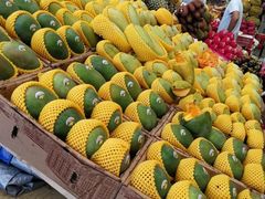 -三亚新鸿港水果一级批发市场