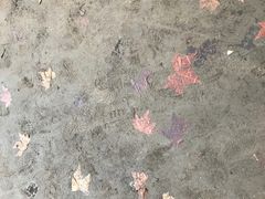 -武汉大学-樱园