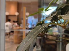 -奈雪的茶(皇庭广场店)