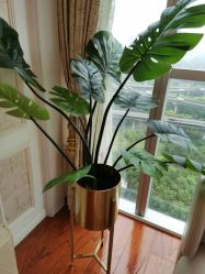 点击看大图 -茜尔维亚修身连锁