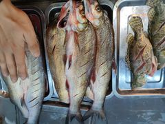 -老味道1992(武当山店)