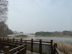 -东湖落雁景区