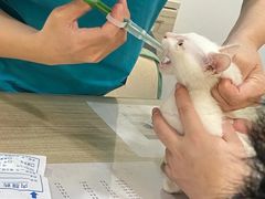 -荔康动物医院(康王北路店)