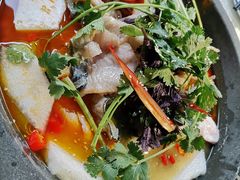 -重庆火锅水库鱼庄(南油店)