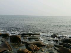 海边-兴旺渔家