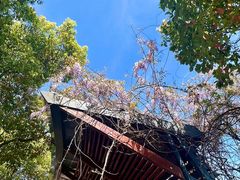 -百联川沙购物中心