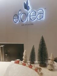 -希尔顿酒店·eforea spa水疗中心