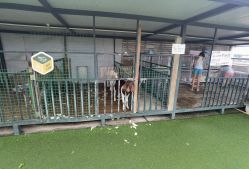 -小蜜蜂农场(凯德七宝购物广场店)