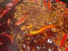 -蜀大侠火锅(总府路店)