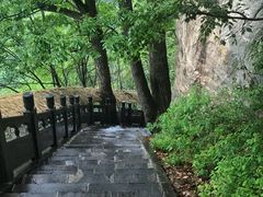 -洛阳白云山景区