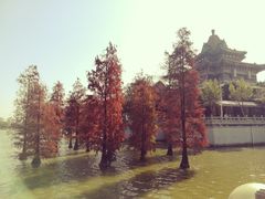 -顺峰山公园
