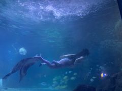 -常州海昌海洋探索馆