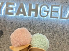 -野人先生现做冰淇淋(北京环宇荟店)