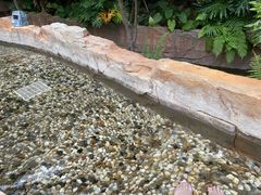 -韶关经律论国际酒店温泉