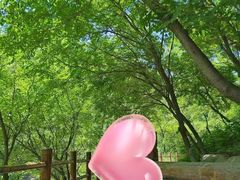-黄花溪