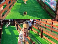 -济南野生动物世界