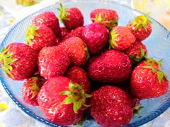 -江杨农产品批发市场