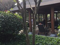 -航空小镇温泉